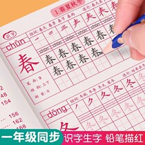The first and second volumes of the 12th grade are synchronized to practice copybooks. Pupils practice writing books in regular script