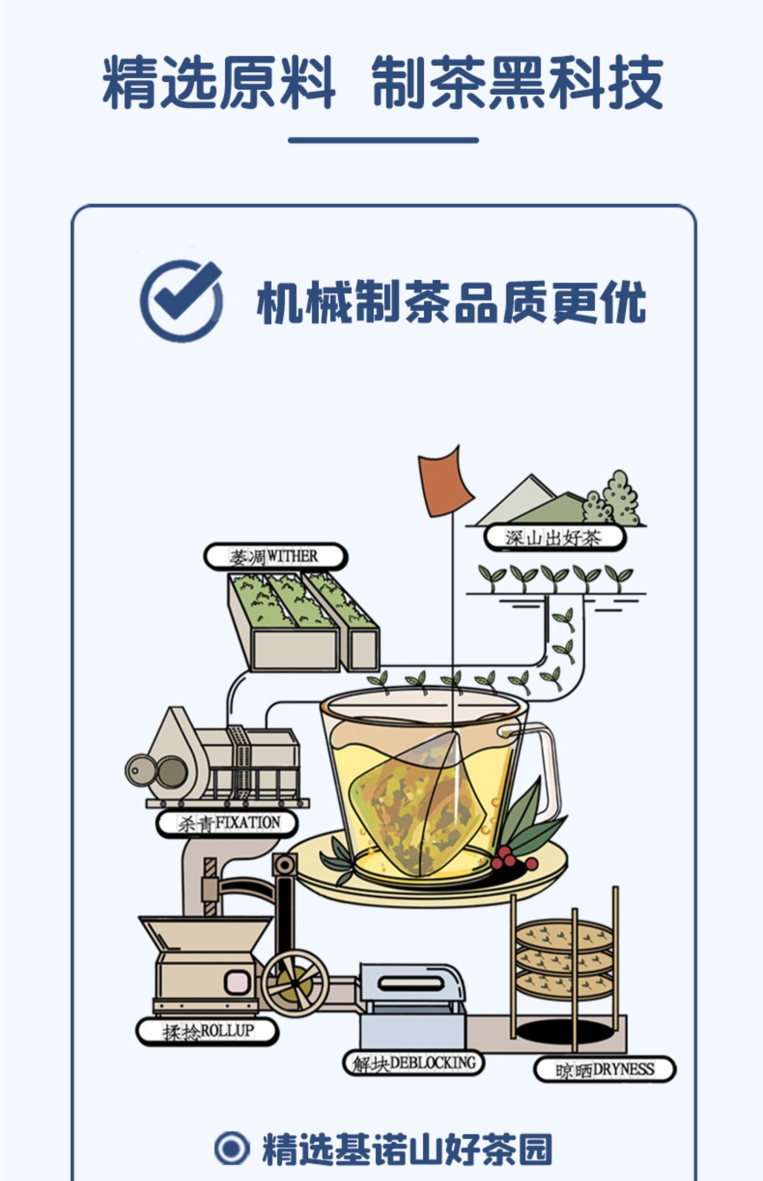 【金菩麟】摩洛哥水果花茶15袋