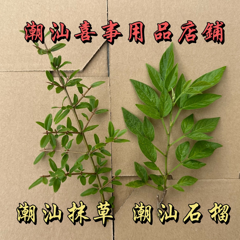 Twelve-Color Flowers from Chaoshan, Pomegranate Flowers, Grass Flowers, Spring Grass, Wedding Grass, Seven-Color Flowers, Auspicious Event Grass, Chaoshan Customs