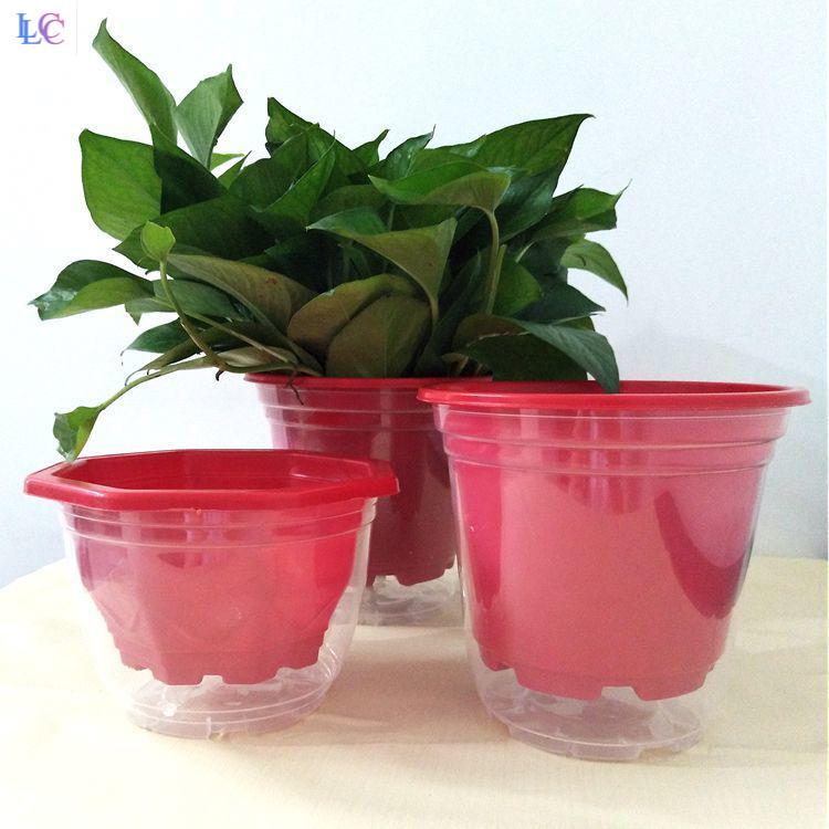 Double layer flower pot anti-leak plastic (individual) gold Ge Automatic suction flower pot sloth transparent water storage basin 