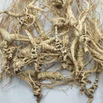 Wild ginseng understory ginseng field seeded residual ginseng Changbai Mountain ginseng residual branch Northeast Laoshan ginseng Jilin specialty