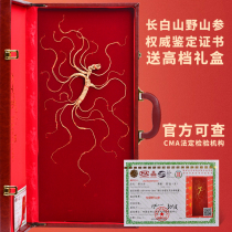 Jilin ginseng Changbai Mountain ginseng gift box wild ginseng transplanted understory ginseng moved wild ginseng soaked in wine gift certificate
