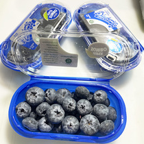 Seasonal SuperJumbo Blueberry King super large fruit 1 box 200g fresh fruit in stock Australian varieties packaged with SF Express