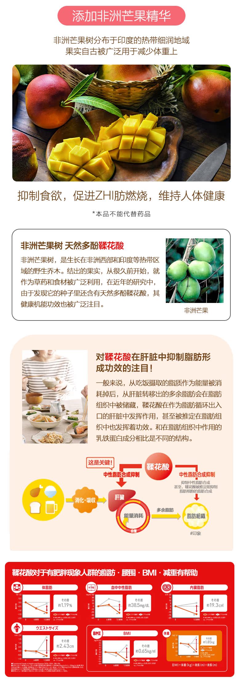 日本狮王 LION M-1乳酸菌 62粒 养精神添活力 调理肠胃 图6