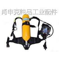 Yean RHZKL30 5 spare cylinder air respirator 6L oxygen cylinder diving gas storage high-pressure cylinder 30mpa