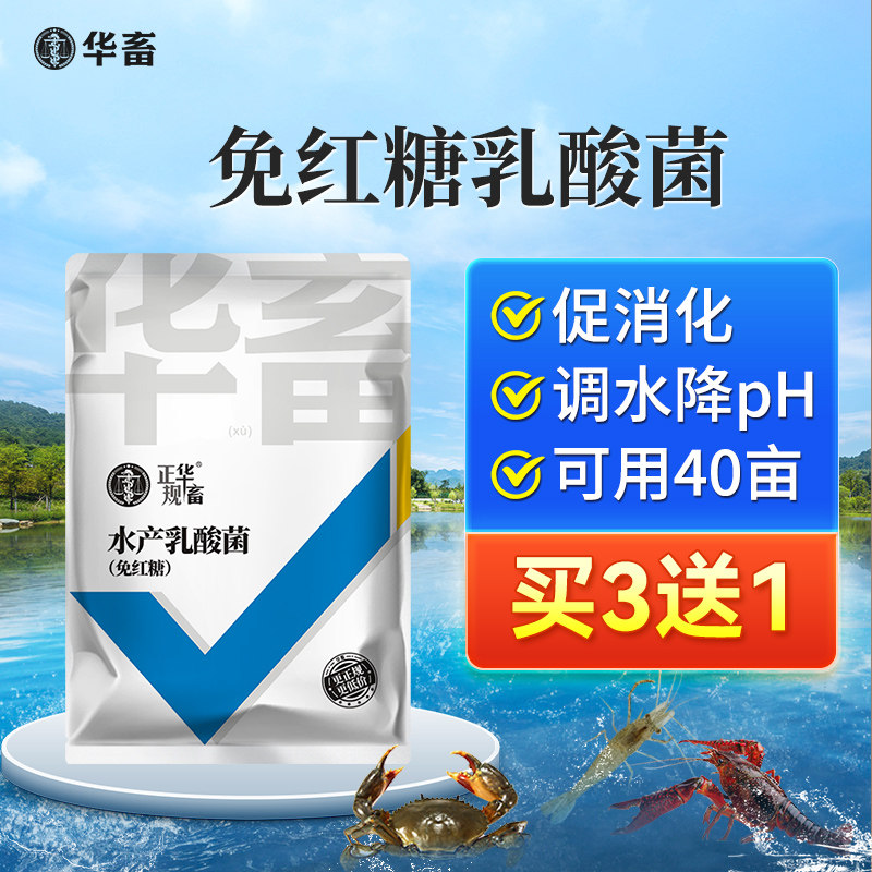 华畜水产乳酸菌浓缩粉控制弧菌降ph值亚硝酸盐氨氮乳酸菌水产养殖