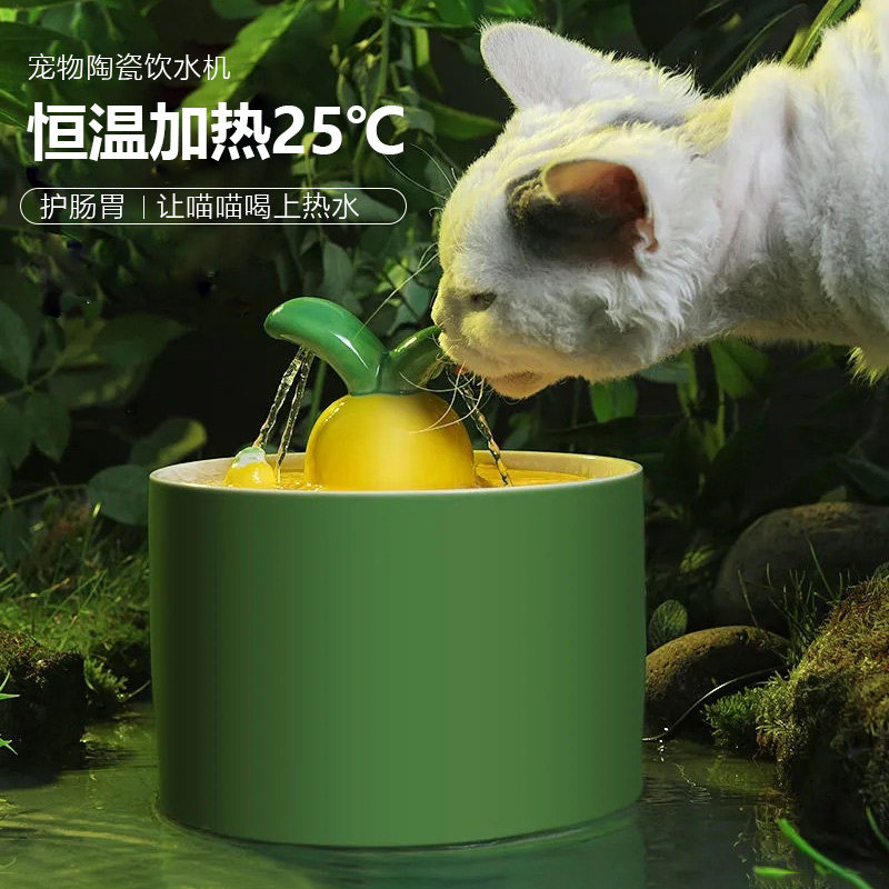 Kitty Automatic Drinking Fountain Ceramic Water Bowl Circular Flow Drinking Water Machine Thermostatic Heating Live Water Pet Drinking Water Theiner