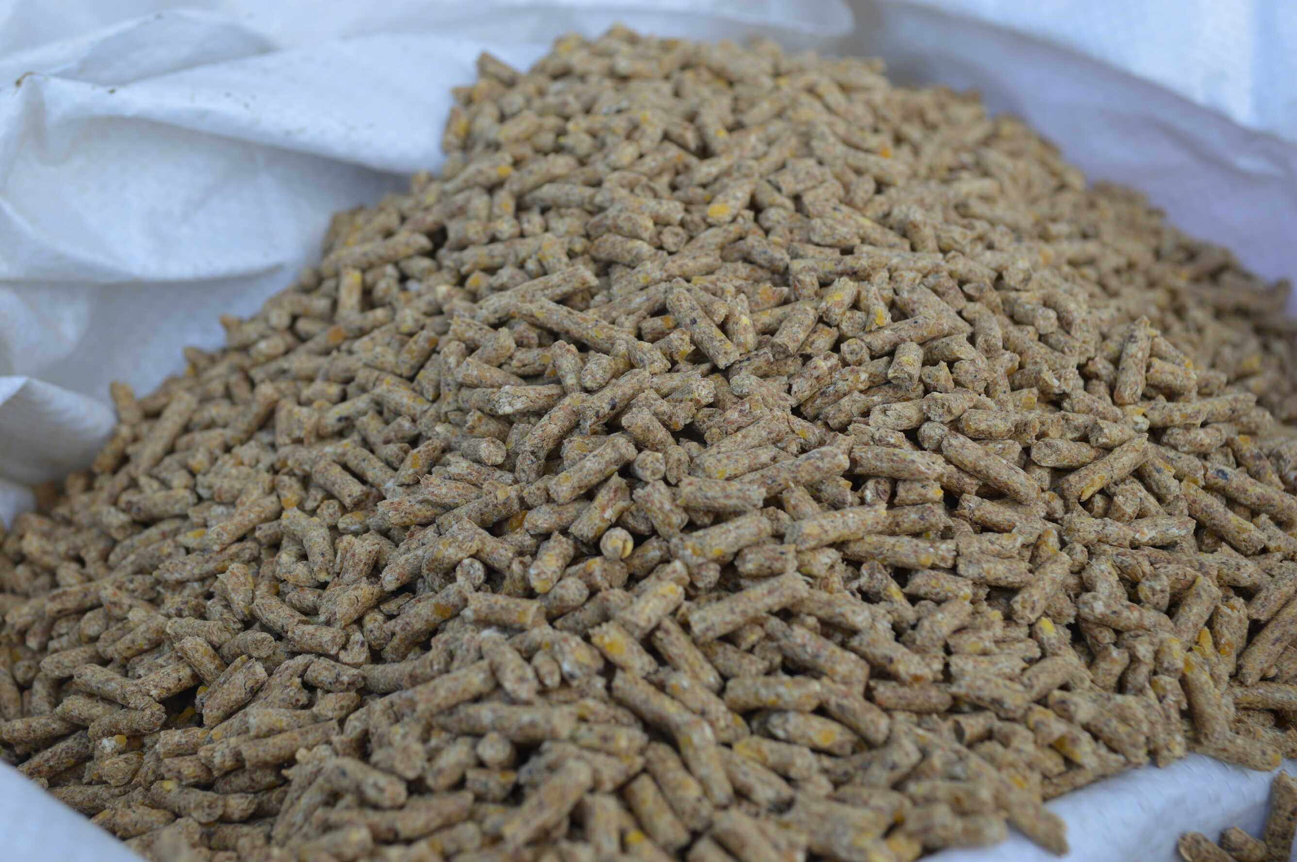 Alpaca refined feed farm directly sells 80 kg of alpaca whole diet compound feed full mixed diet pellet feed