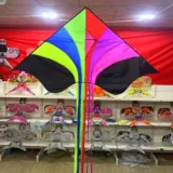 Разноцветный Феникс, воздушный змей для взрослых, новая коллекция