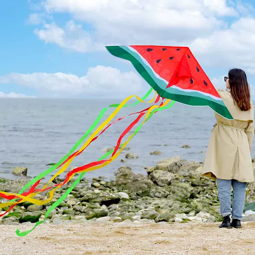 Воздушный змей, 2025 года, новая коллекция, популярно в интернете