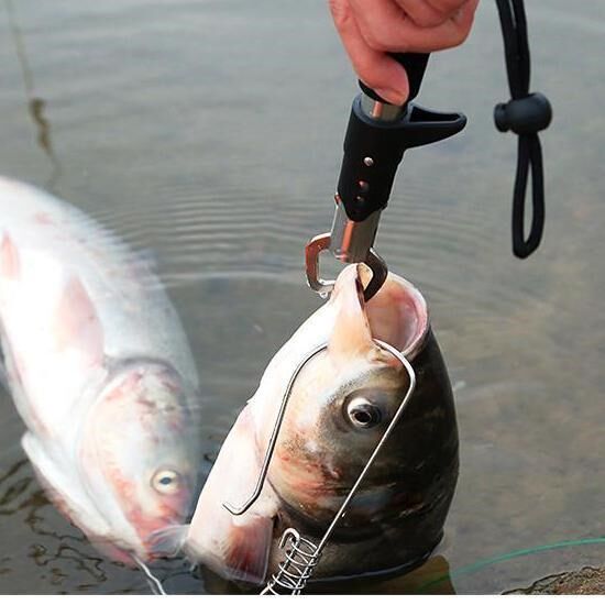 Road sub-control fisher multifunction fish control with scale with scale road subpliers clamp fish pliers stainless steel clamp fisher catch fish