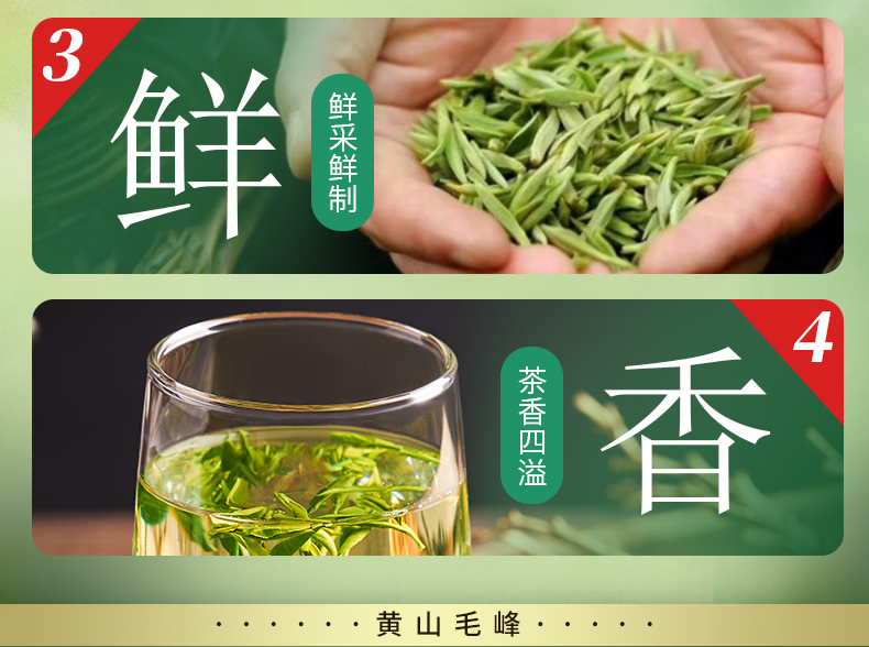 江小茗 安徽黄山毛峰 50g 图6