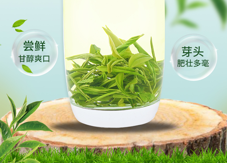 江小茗 安徽黄山毛峰 50g 图9