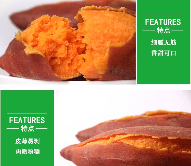 湛江名牌  何爸红薯 新鲜现挖沙地红心蜜薯 9斤盒装 图7