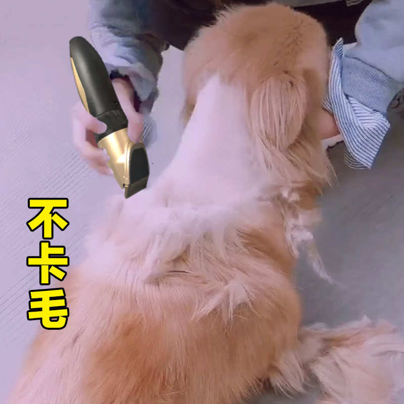 Pet Dog Shaver Professional razor cutting Teddy Dog Full Push Gold Ship Hair Archives High Power