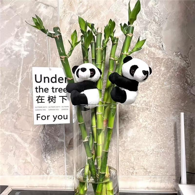 Green Plant Hanging Ornaments, Money Tree Decorations, Monstera Clips, Mini Panda Green Plant Small Ornaments, Climbing Panda Green Plant Hanging Ornaments, Money Tree Decorations, Monstera Clips, Mini Panda Green Plant Small Ornaments, Climbing Panda