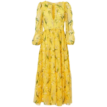 Carolina Herrera Womens Floral Print Chiffon Midi Dress FARFETCH