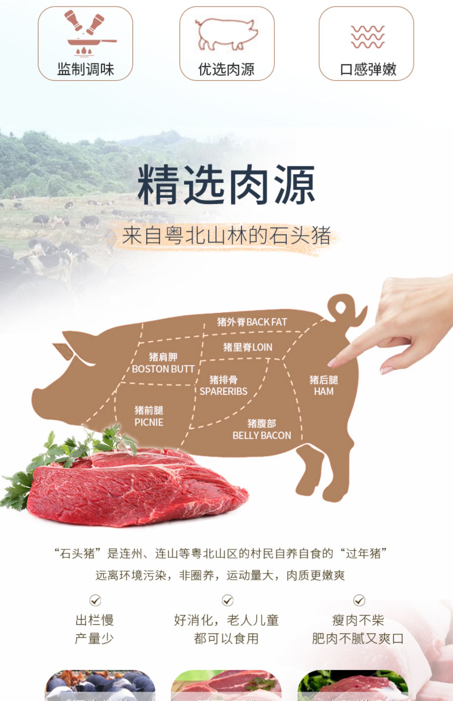 ifossil澳弗森装肉午餐肉罐头