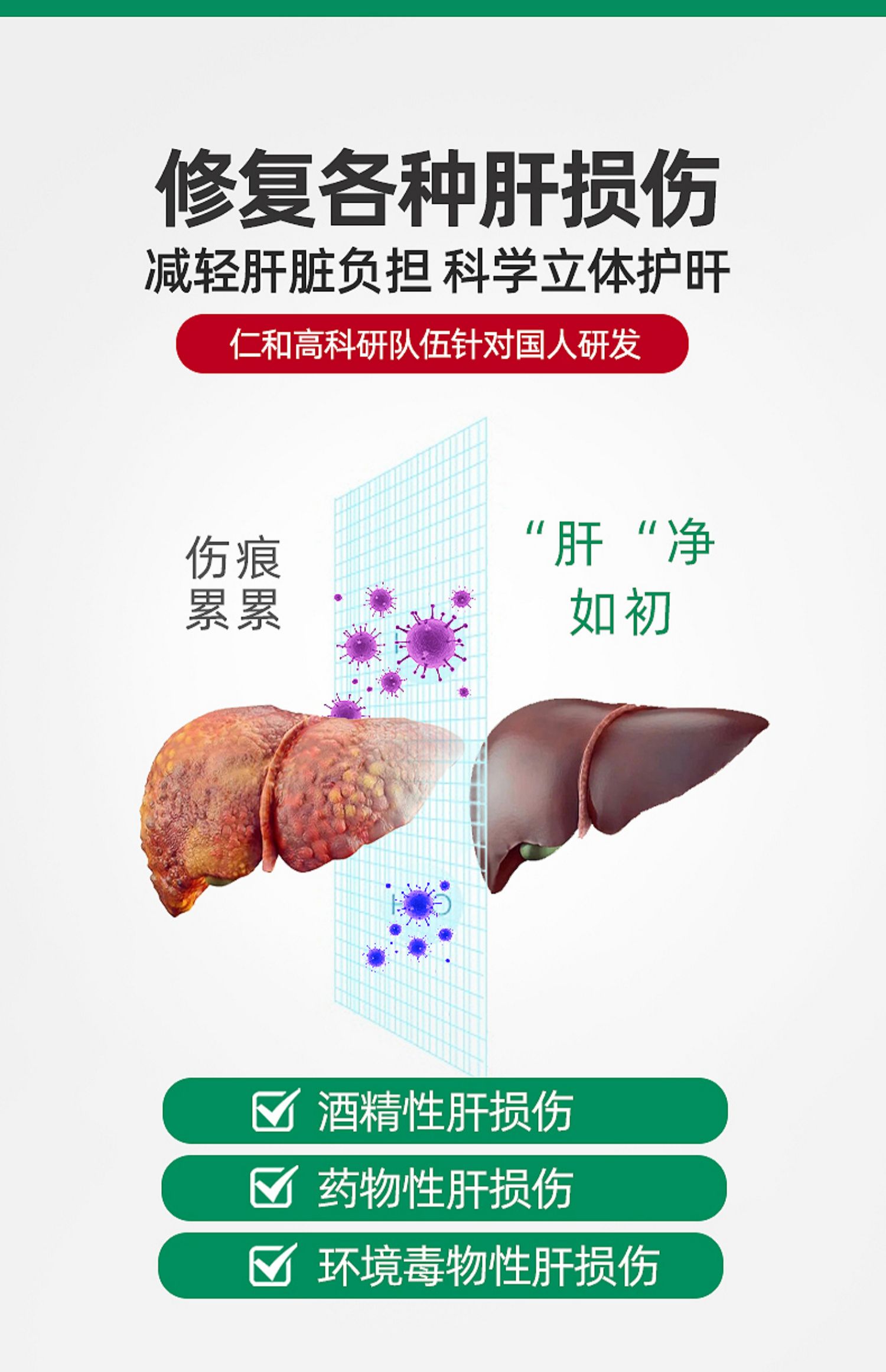 【仁和】养肝片护肝调理胶囊60粒