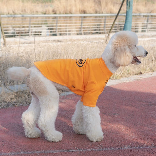 Tide Brand Большая собачья одежда в летнем бор