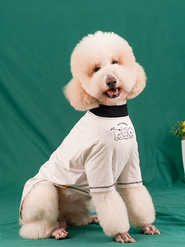 Милая одежда для собак, футболка для больших собак, новинка 2024 года, лабрадор, овчарка, золотистый ретривер, гигантская дорогая одежда, летняя тонкая