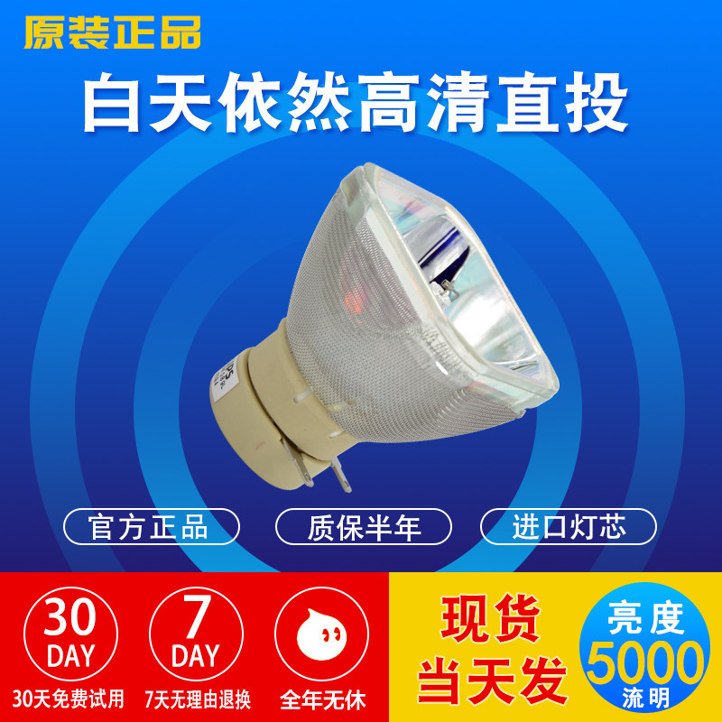 Hitachi Projector HCP-200X HCP-300X HCP-426X 430X DT01431 Projector Bulb