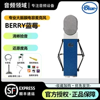 Ягодная черника