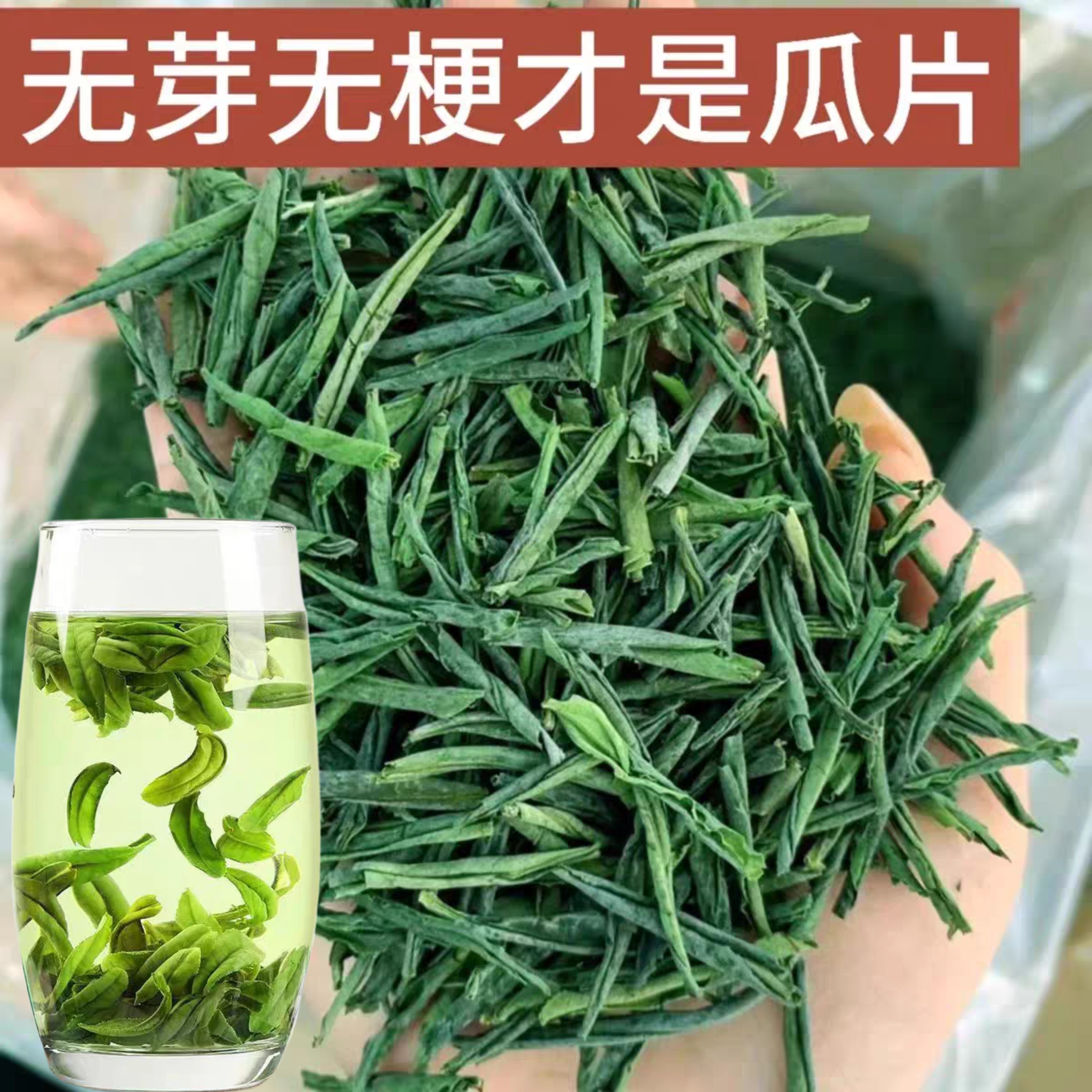 六安瓜種茶 2026年新茶、雨前栗炭焙煎栗風味、バリューパック 安徽緑茶 500g