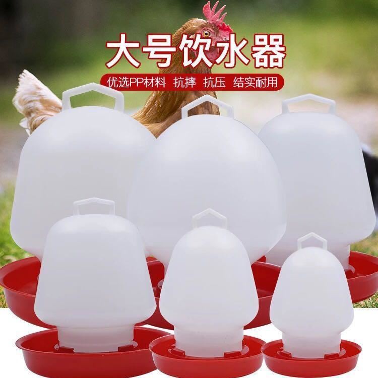 2021 new chicken drinker chicken with kettle automatic drinker chick drinking kettle duck goose Fowl Spherical Drink