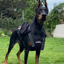 Doberman tactical vest outdoor vest tactical dog clothing with bag pet supplies chest and back suit German shepherd police dog adjustment