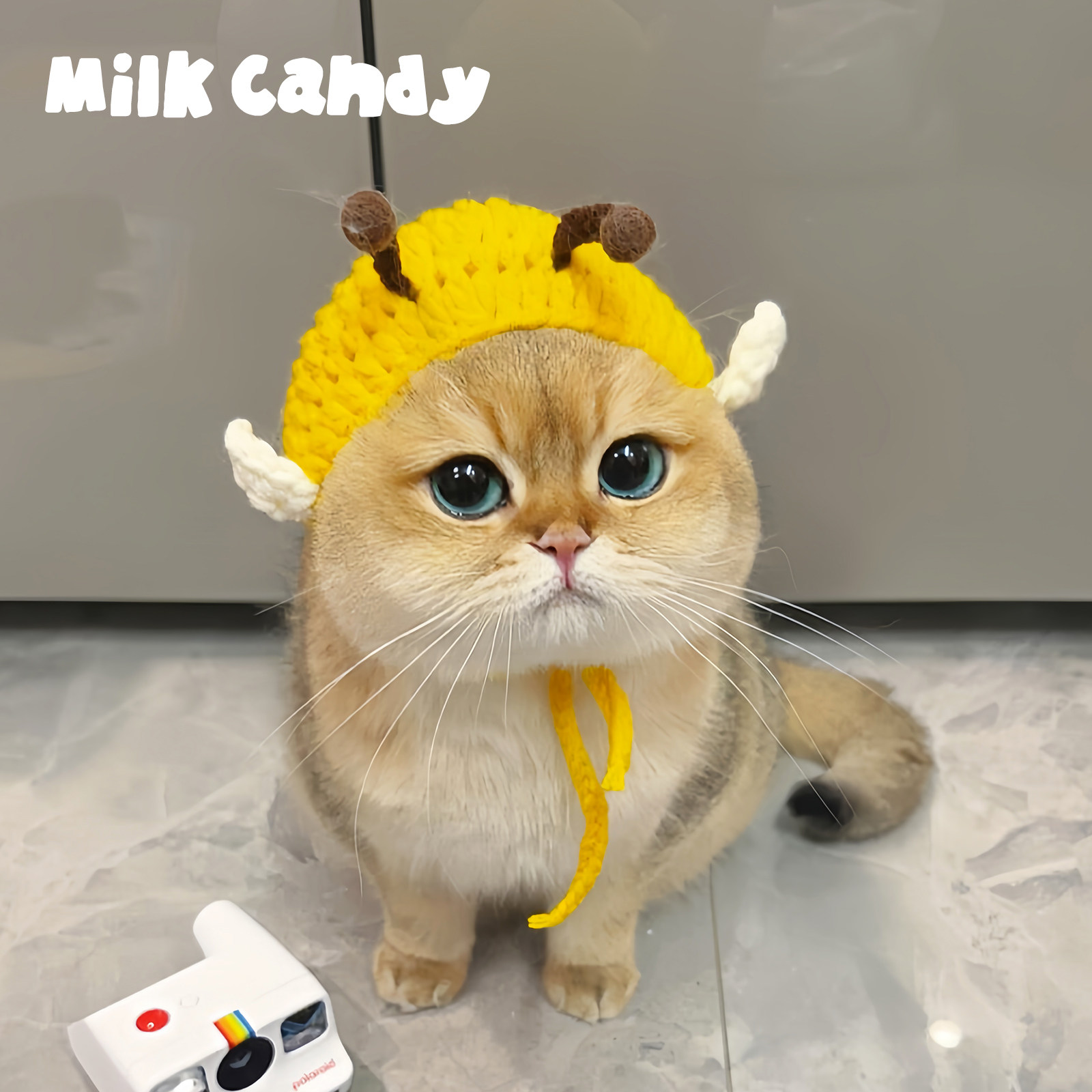 Cat & Dog Furry Headwear Canine Hats by Pawstar main image 2
