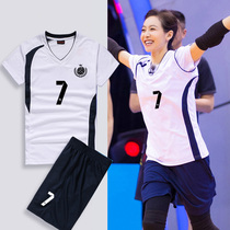  Volleyball suit suit Womens game suit Sports training team uniform Professional volleyball clothes Mens custom group purchase printing size