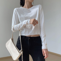 Bottom shirt 2022 spring new style inner solid color long-sleeved t-shirt womens elastic short high waist loose top women