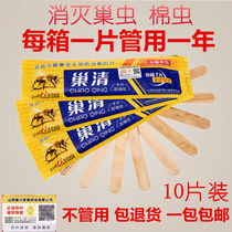 Nest Worms Clear Wood Chips Nest Clear Wood Slices Shanxi Revitalization Bee Bee Drug Nest Worms Cotton Worm Drug Lute and Whirlpool Nest of Whirlpool Nest