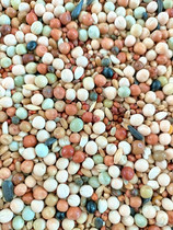 Race power pigeon grain no corn pigeon food pigeon feed carrier pigeon military pigeon ornamental pigeon meat pigeon bird food 50kg