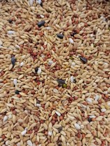 Race power A- Class pigeon grain without corn removal grain pigeon moulting feed pigeon ornamental pigeon bird food 45kg