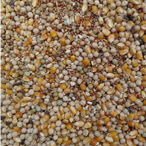 Sai Kuai Sai Jialong Голубиное зерно и кукурузное голубь голубь голубь голубь голубь пища 50 кот.