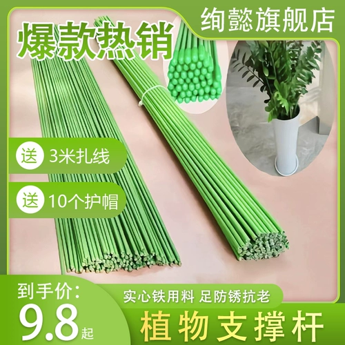 Садовая поддержка стержни рамка цветочные рамки цветочный вешал