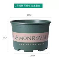 Карликовый жир № 3 (5 установка)