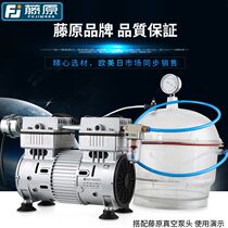 Japan imported raw-mounted steel vine oil-free vacuum pump silent industry for large flow DC pump