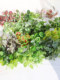 New Artificial Greenery Wall with Ivy, Grape Leaves, and Flower Boxes for Decoration