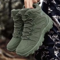 Lowa official flagship spring high-top Martin boots mens American tactical military training desert special forces military green