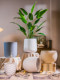 Large-Diameter Round Imitation Cement Pot for Indoor Living Room Green Plants, Thickened Vintage Magnesium Oxide Flower Pot Plant Ornament