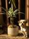 Large Artificial Green Plant Agave Potted Plant Indoor Living Room Floor-Standing Landscape Fake Tree Dragon Blood Tree Decorative Ornament