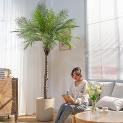 Extra-Large High-Quality Artificial Green Plant, Sunflower, Areca Palm, Outdoor Potted Landscaping, Fake Tree, Indoor Living Room Decorative Ornament