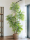 Simulated Green Plant, Nandina Bamboo Potted Plant, High-End Indoor Living Room Large-Scale Artificial Plant, Light Luxury Ornament, Decorative Fake Tree