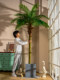 Large Coconut Tree Simulated Green Plant Classy Anemone Palm Tree Bionic Plant Artificial Tree Potted Landscaping Accessible Luxury Ornaments