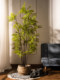 Artificial Green Plants, Realistic Ferns, Large Fern Trees, Indoor Living Room Decoration, Floor-Standing Landscaping, Fake Tree Potted Plants