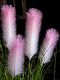 High-End Artificial Plants, Hydrangea, Reed Grass, Fake Flower Trees, Potted Plants, Indoor Green Plants, Bionic Living Room Decoration, Plastic Landscaping