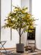 Artificial Green Plant Bodhi Tree Potted Indoor Large Plant Floor-Standing Fake Tree Hotel Window Display Landscape Decoration Ornament